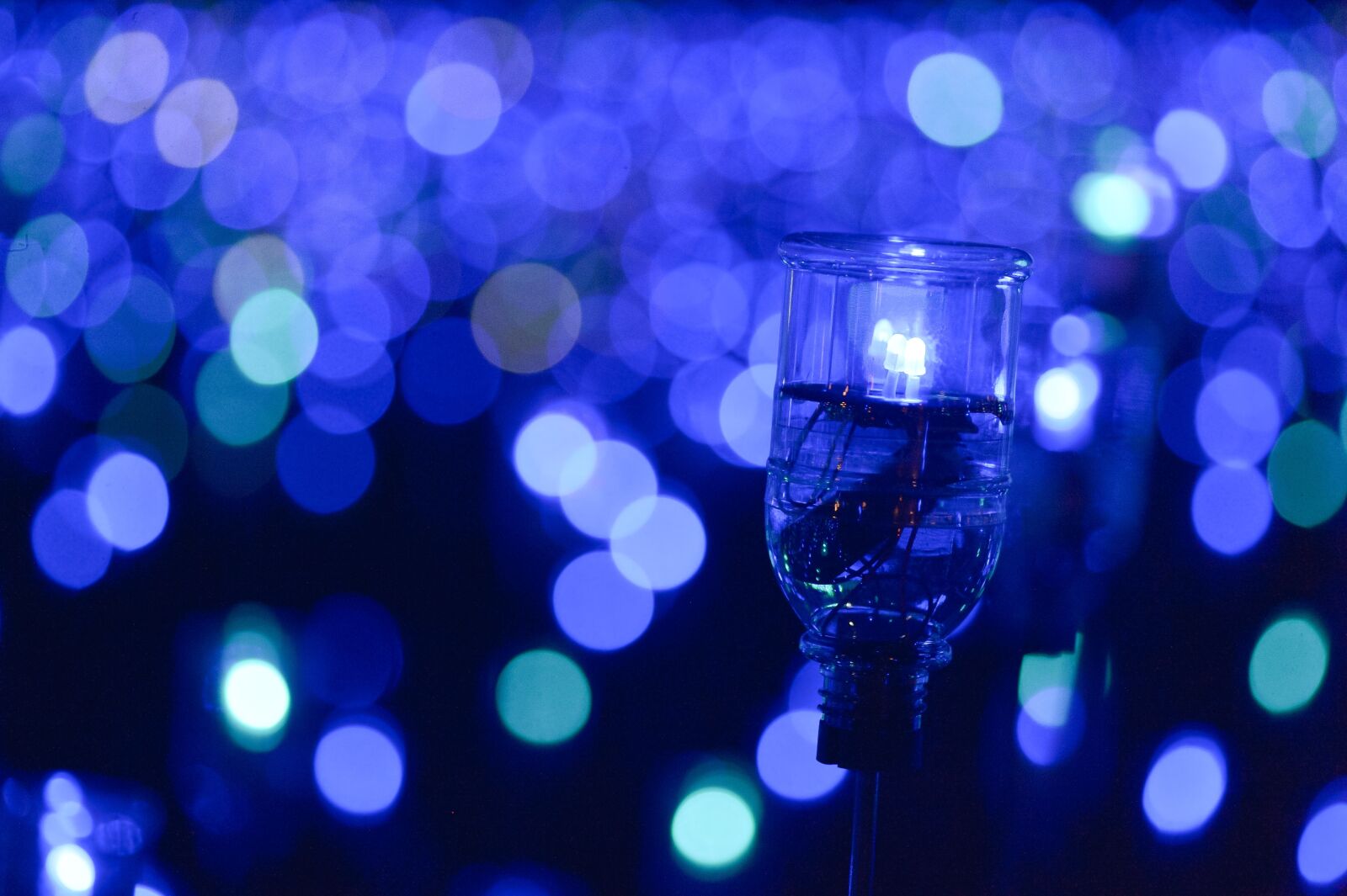 Nikon Df sample photo. Light, night, the bokeh photography