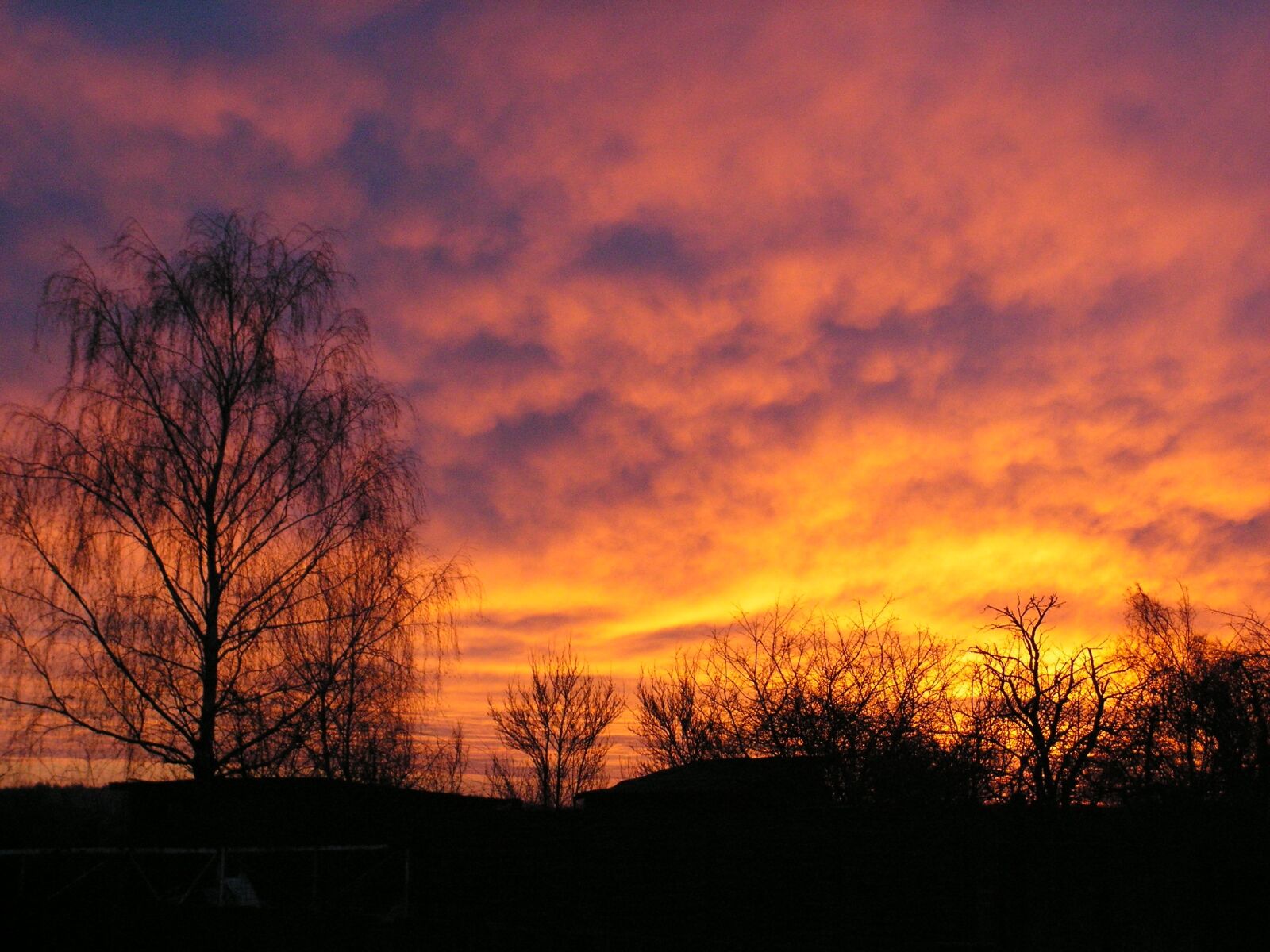 KONICA MINOLTA DiMAGE Z20 sample photo. Sunrise, nature, skies photography