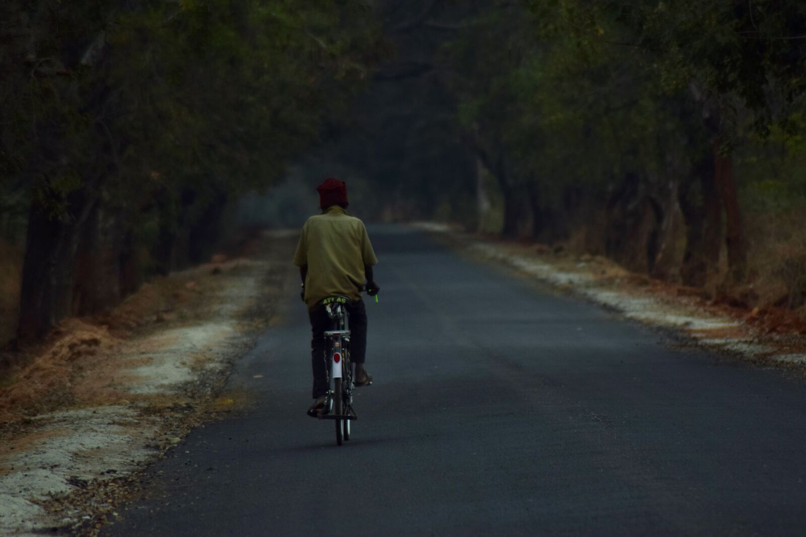 Nikon D5300 sample photo. Ride, nature, indian photography