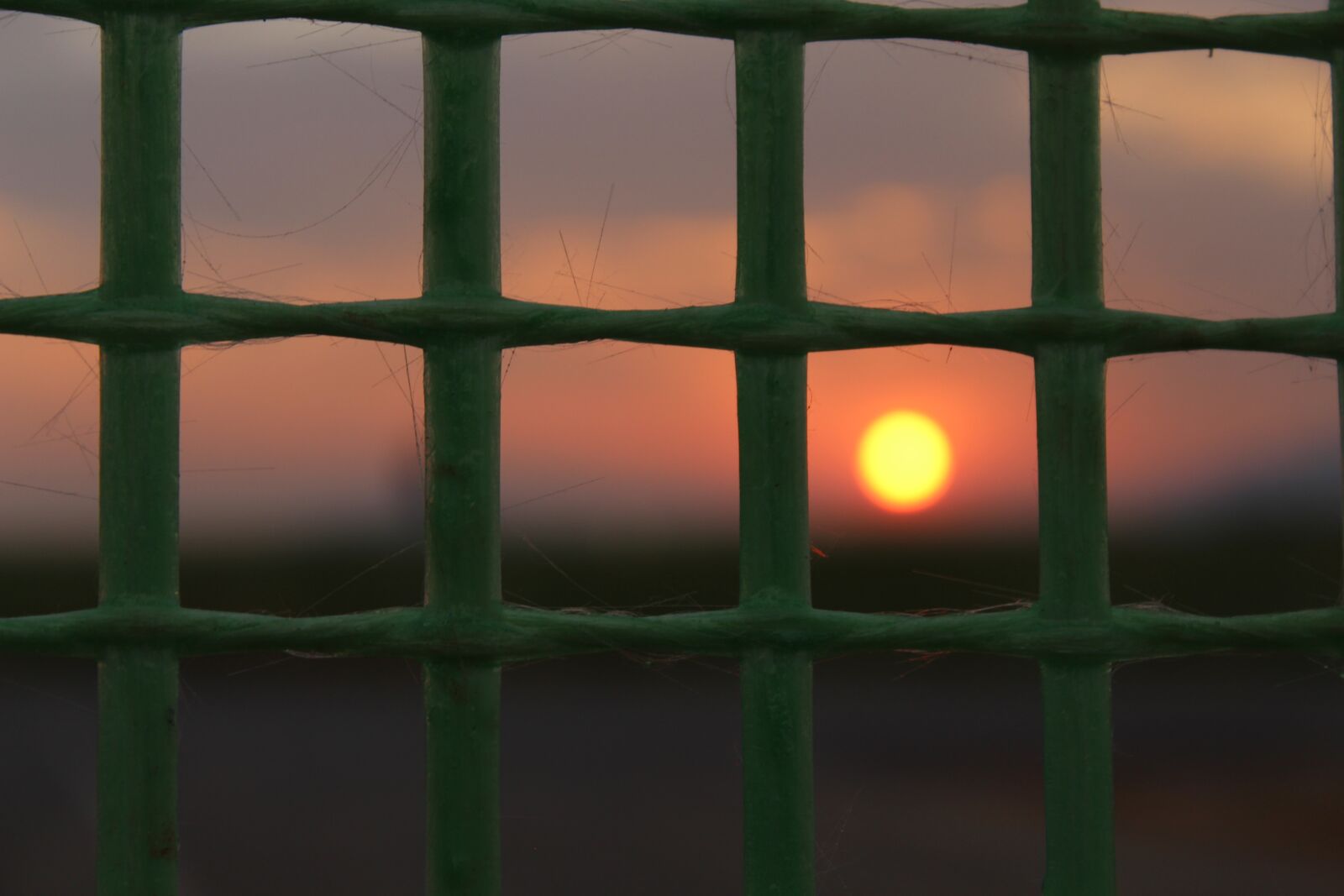 Canon EOS 1300D (EOS Rebel T6 / EOS Kiss X80) sample photo. Sunset, sun, horizon photography