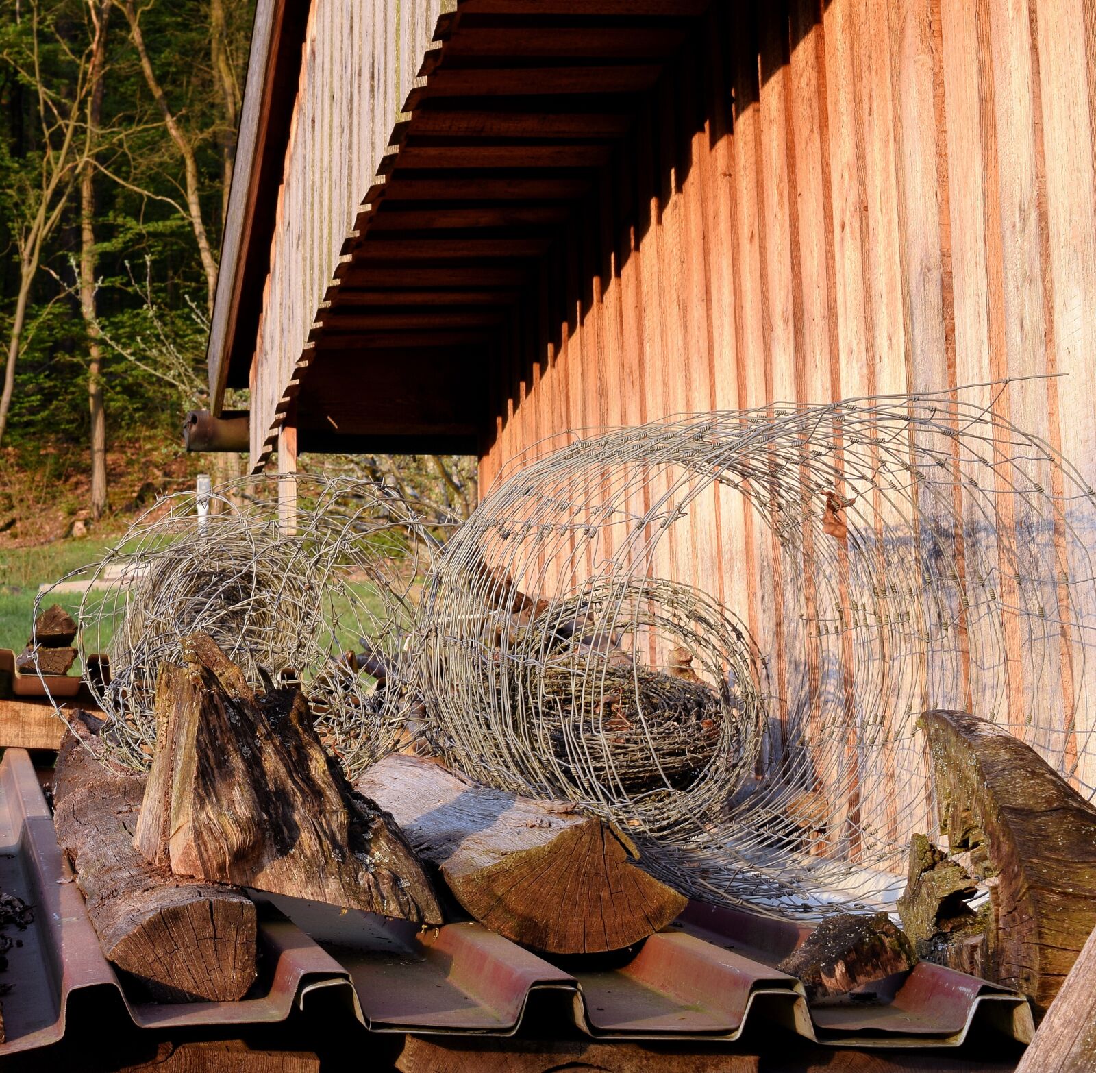 Nikon D5300 sample photo. Barbed wire, wire, log photography