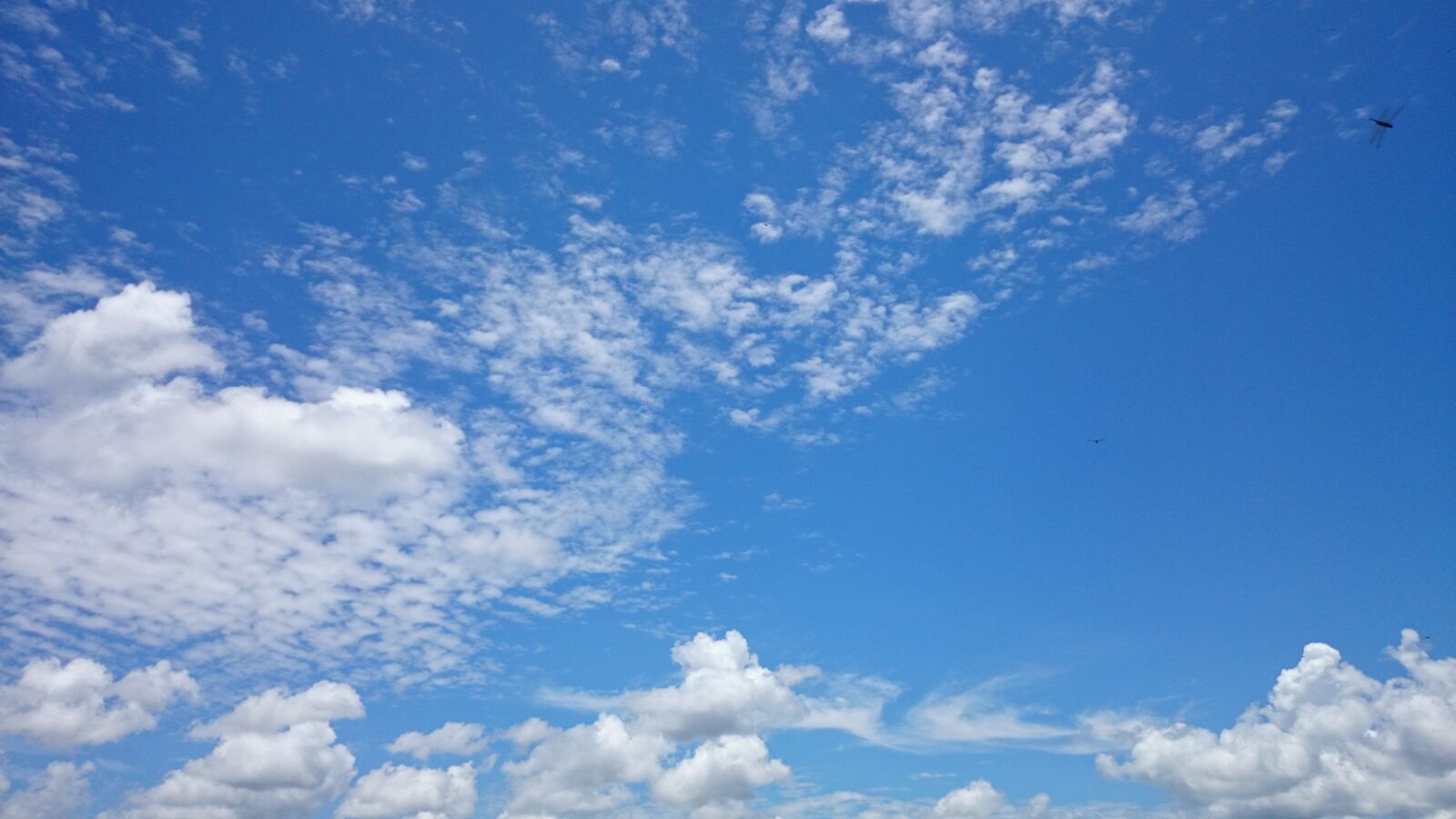 Sony Xperia Z1 sample photo. Sky, clear, spectacular photography