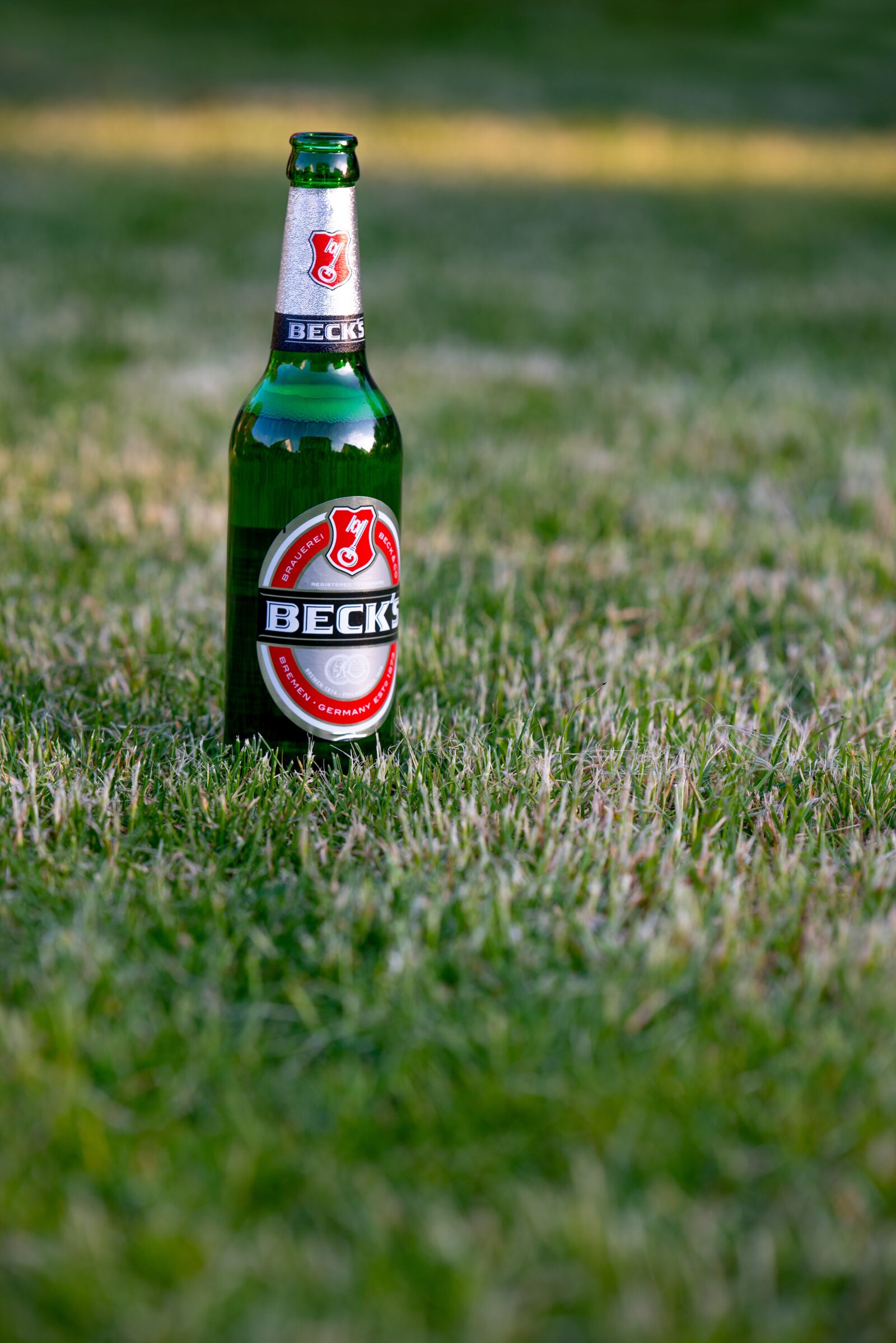 Nikon D800 sample photo. The beer, bottle of photography