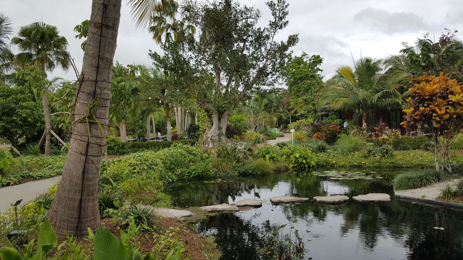 Samsung GALAXY S6 edge sample photo. Botanical, gardens photography