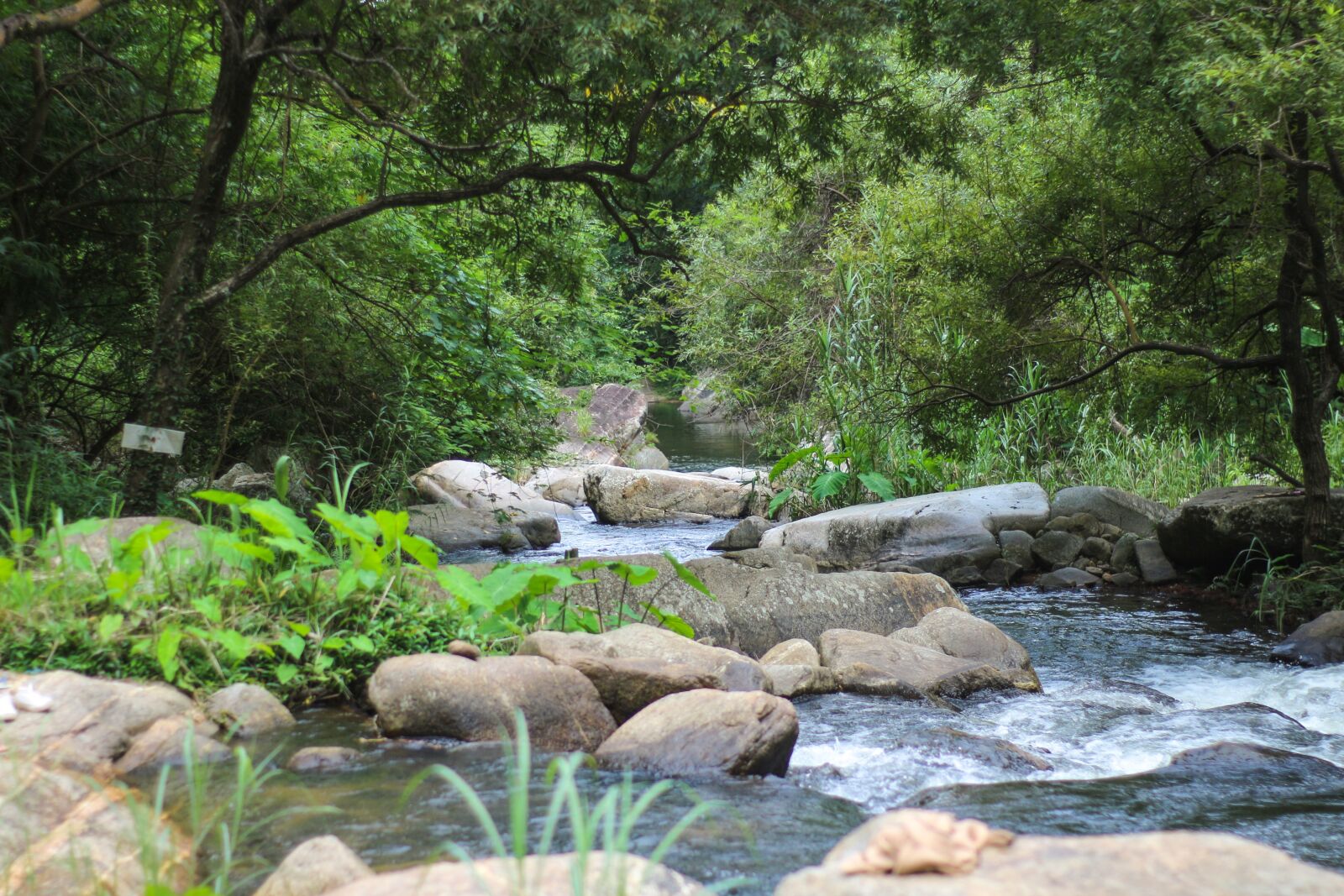 Canon EOS 700D (EOS Rebel T5i / EOS Kiss X7i) sample photo. Bhumibol dam, reservoir, water photography
