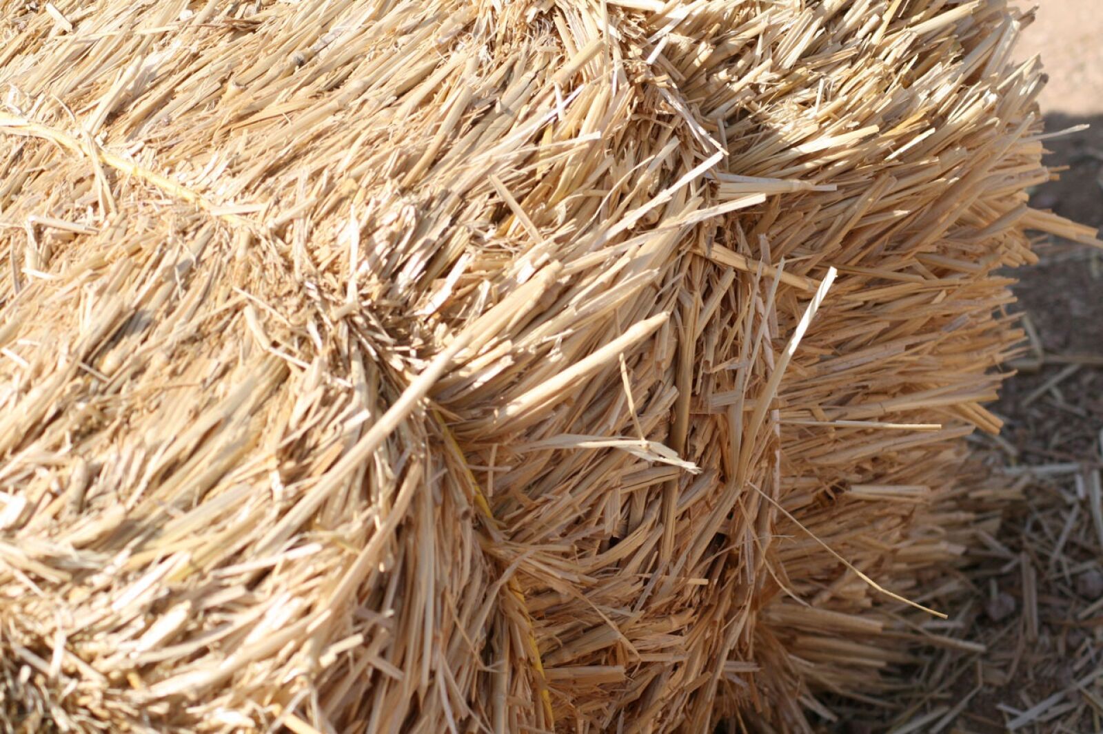 Canon EOS 400D (EOS Digital Rebel XTi / EOS Kiss Digital X) sample photo. Hay, bail, straw photography