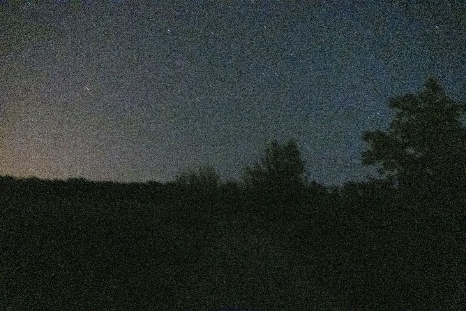 Sony a7 III + Sony FE 24-105mm F4 G OSS sample photo. Iso 204800 photography