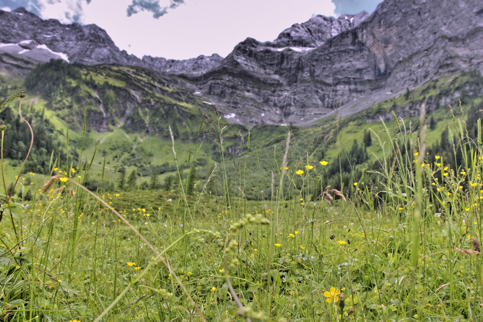 Canon EOS 550D (EOS Rebel T2i / EOS Kiss X4) sample photo. Nature, landscape, mountain photography