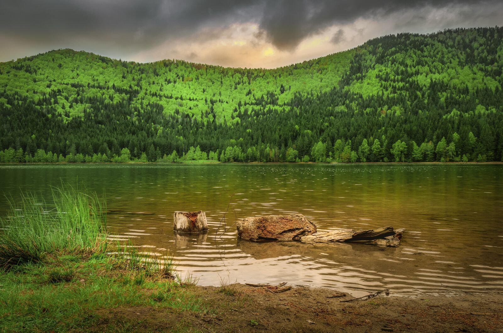 Nikon D5100 sample photo. Lake, water, transylvania photography