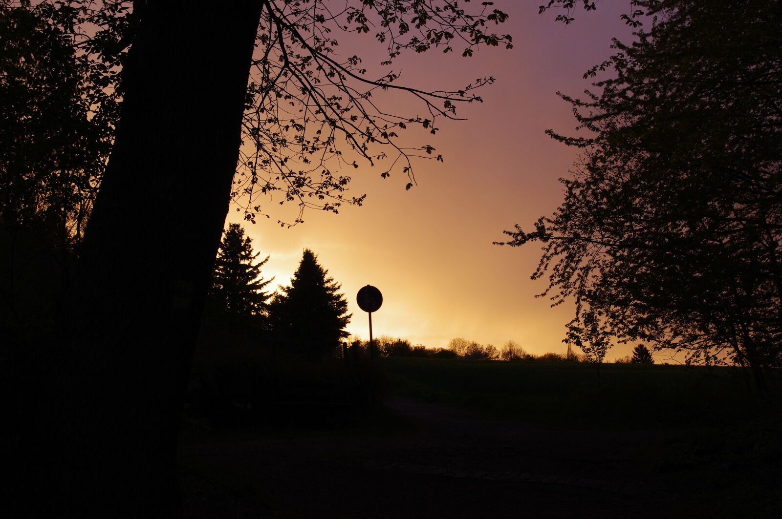 Pentax K-x sample photo. Germany, sunset, forest photography