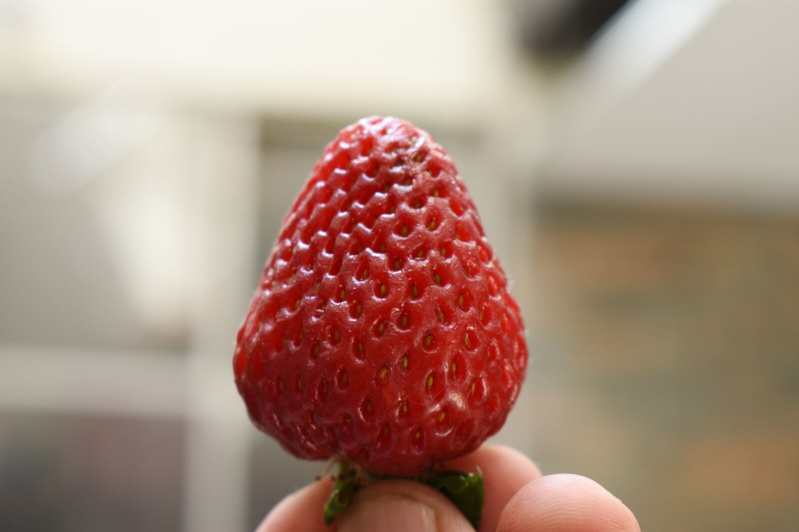 Nikon D3400 sample photo. Strawberry, fruit, bless you photography