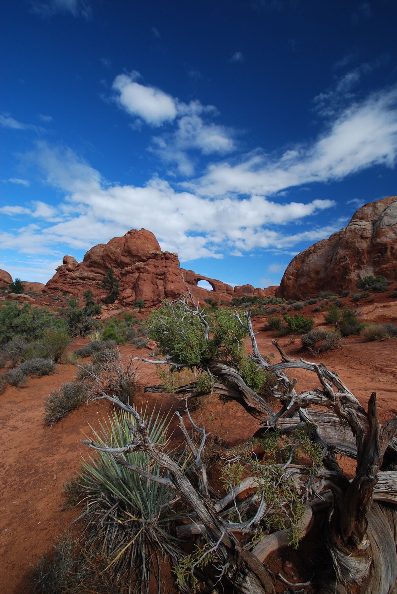 Nikon D40X sample photo. Arches national park, red photography