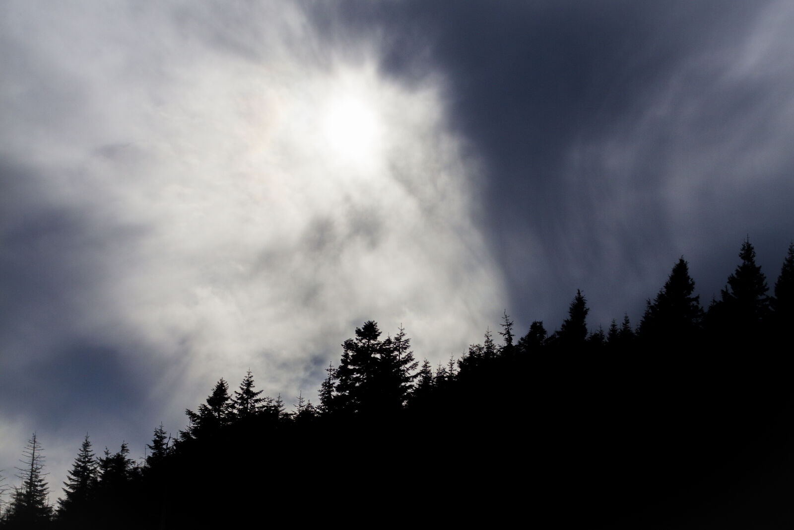 Canon EOS 60D + Sigma 30mm F1.4 EX DC HSM sample photo. Clouds, cloudscape, downpour, forest photography