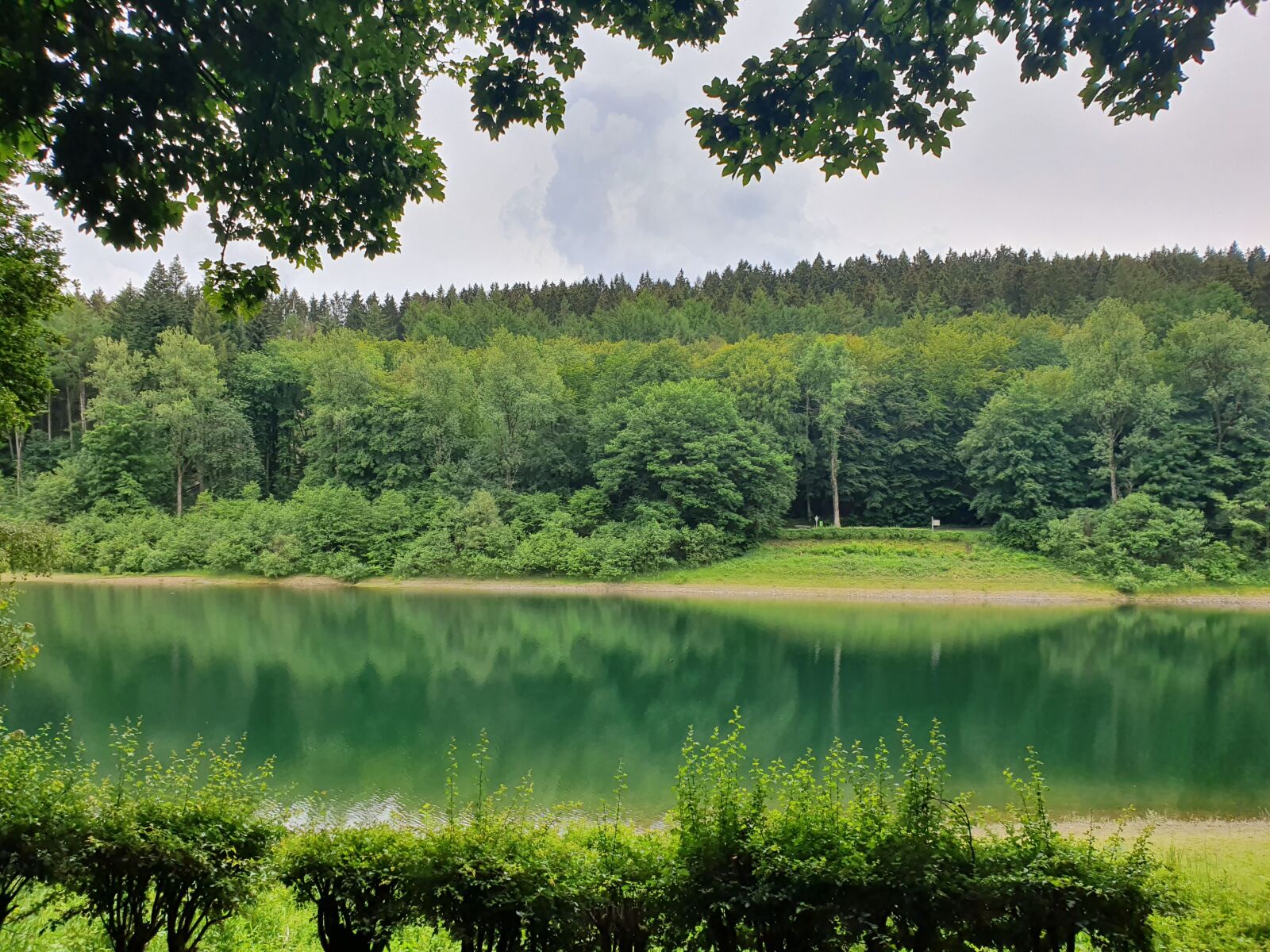 Samsung Galaxy S10 sample photo. Sauerland, germany, lüdenscheid photography