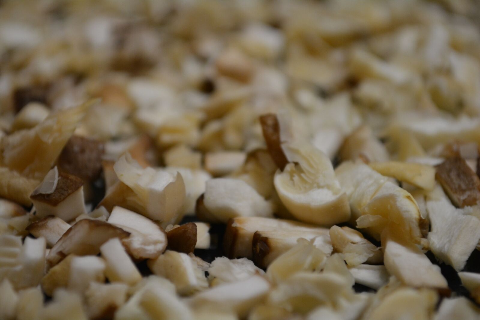 Nikon D5200 sample photo. Mushrooms, vegan photography