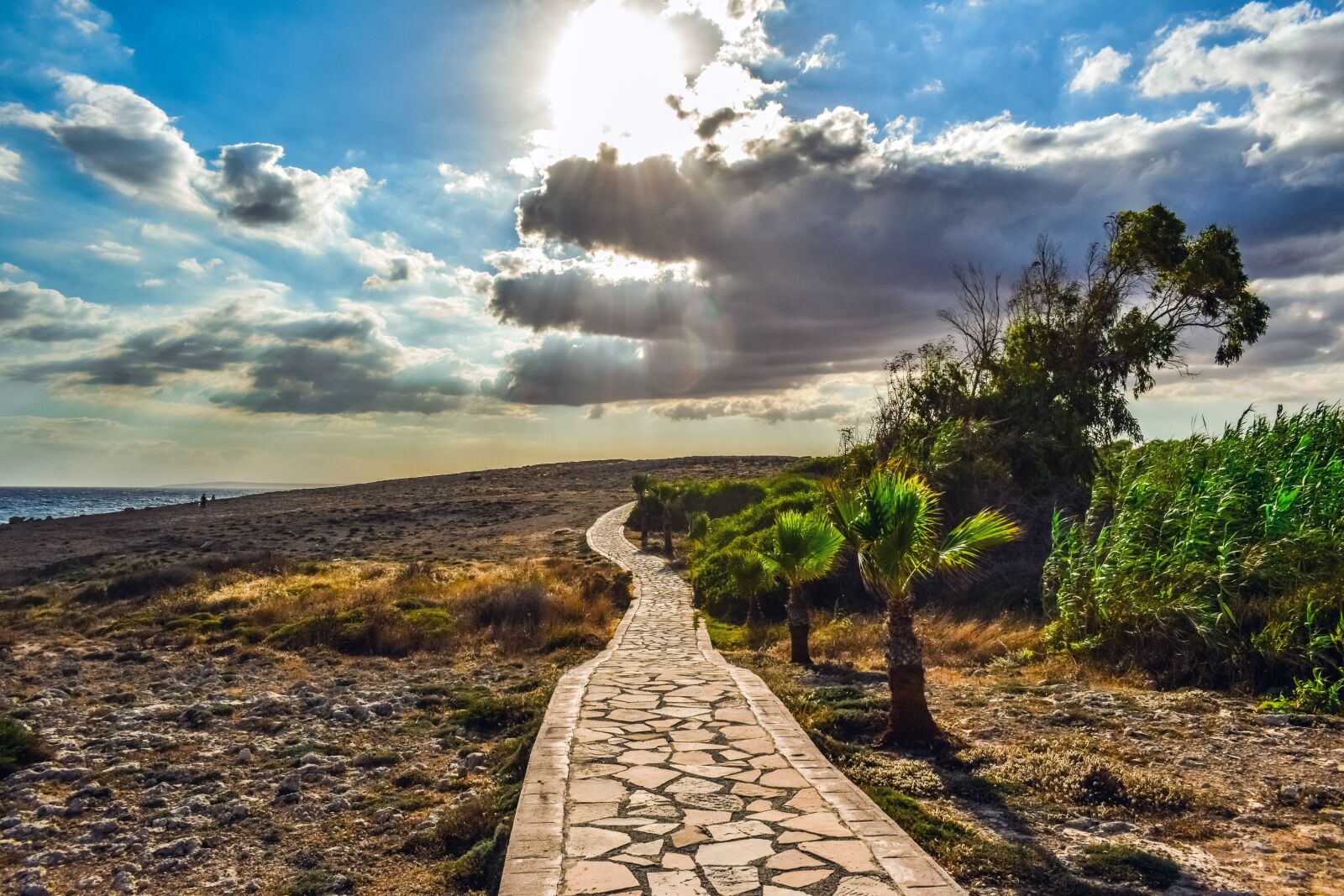 Nikon D3300 sample photo. Path, stone, nature photography