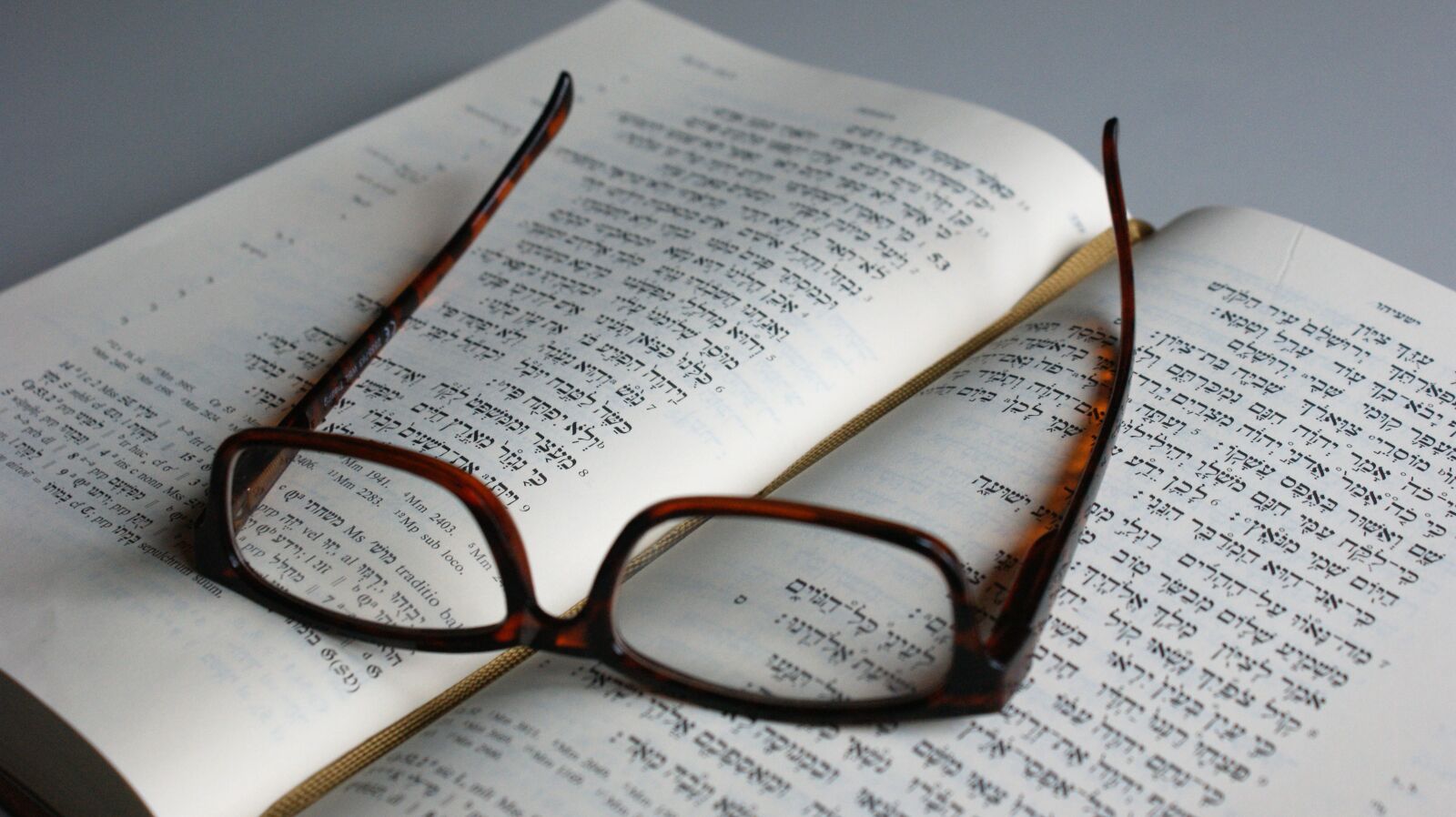Sony Alpha DSLR-A350 sample photo. Reading glasses, read, book photography