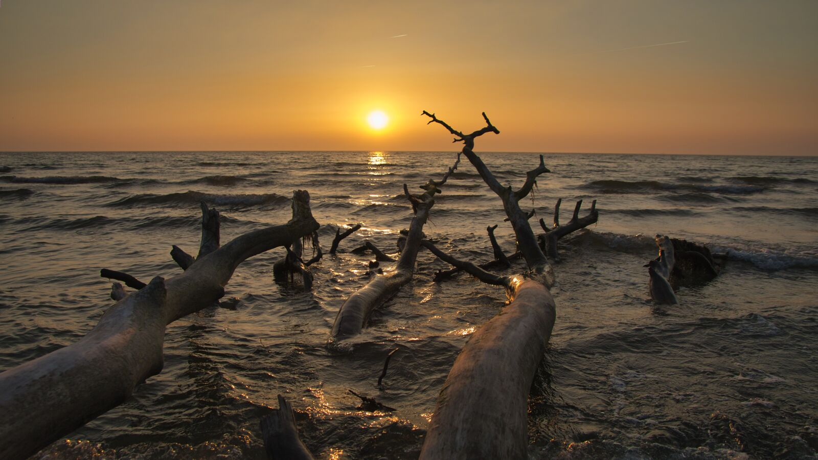 Canon EOS 70D sample photo. West beach, baltic sea photography