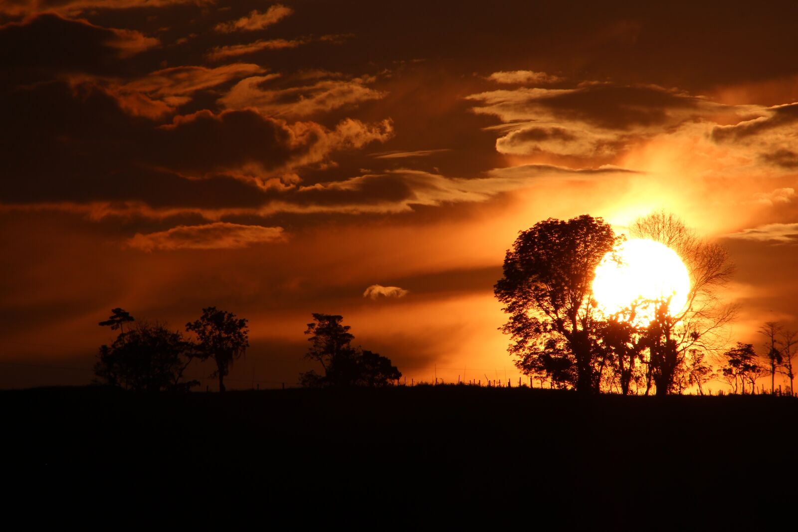 Canon EF 75-300mm f/4-5.6 USM sample photo. Sunset, dramatic, orange sky photography