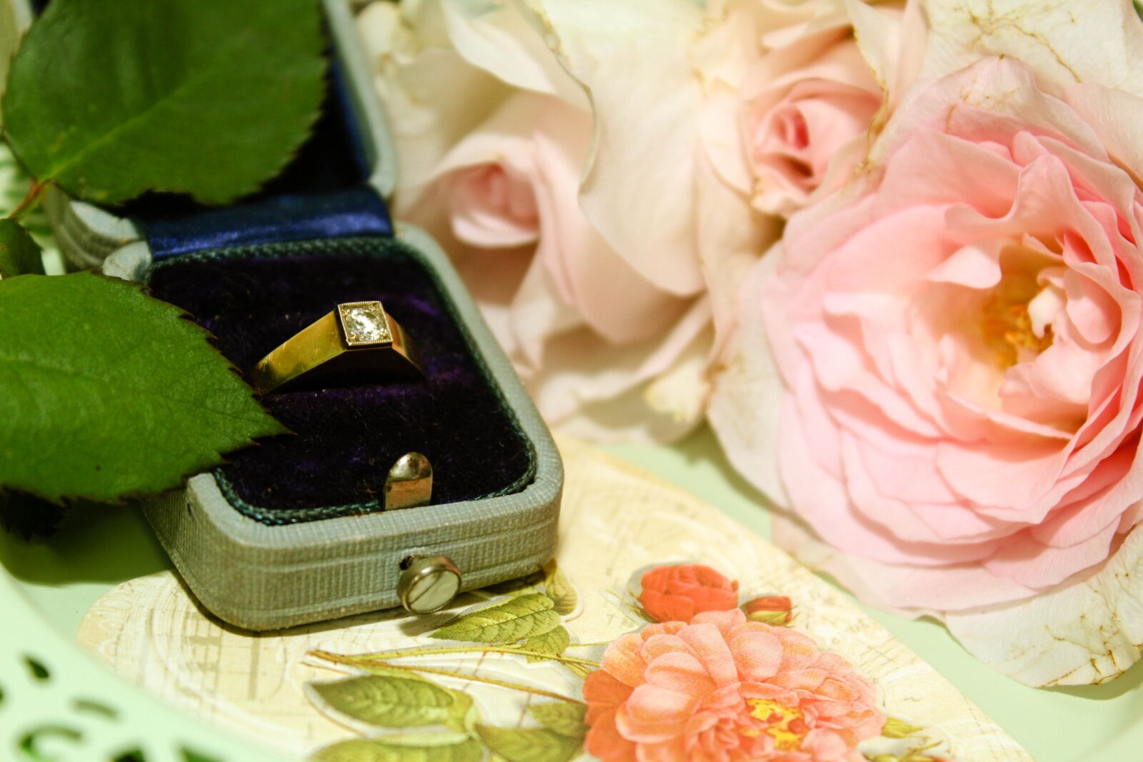 Canon EOS 600D (Rebel EOS T3i / EOS Kiss X5) sample photo. Engagement, roses, vintage photography