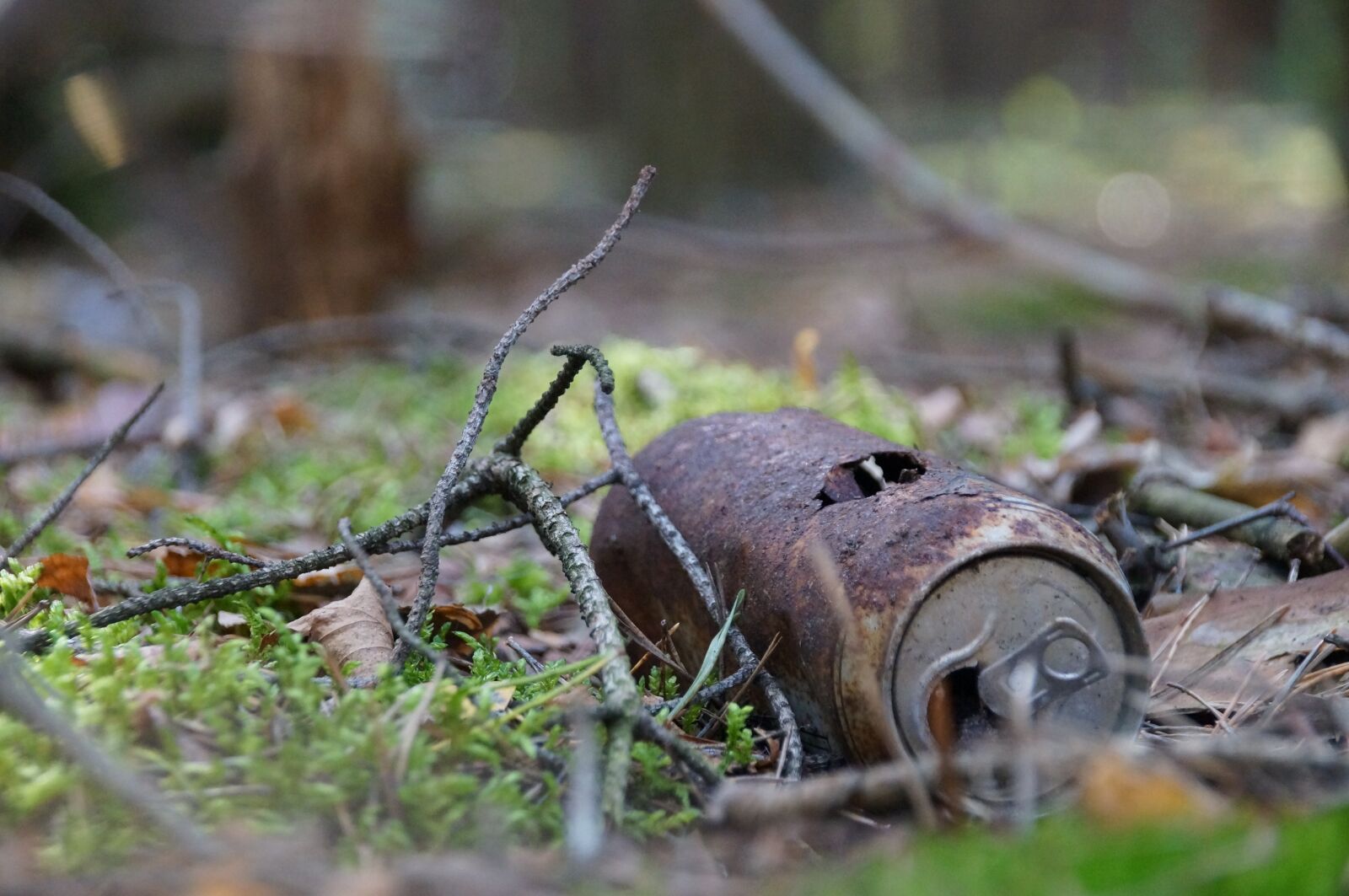 Sony SLT-A37 sample photo. Waste, dirt, box photography