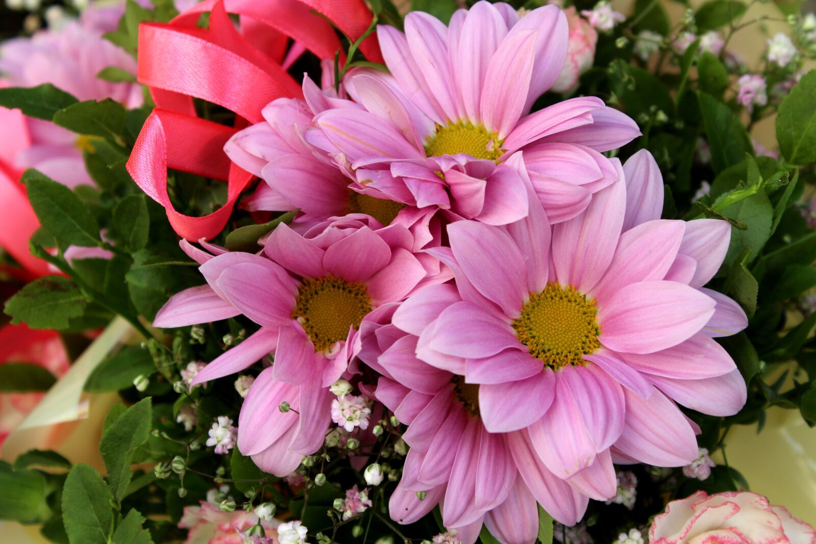 Canon EOS 1200D (EOS Rebel T5 / EOS Kiss X70 / EOS Hi) sample photo. Gerberas, bouquet, flowers photography