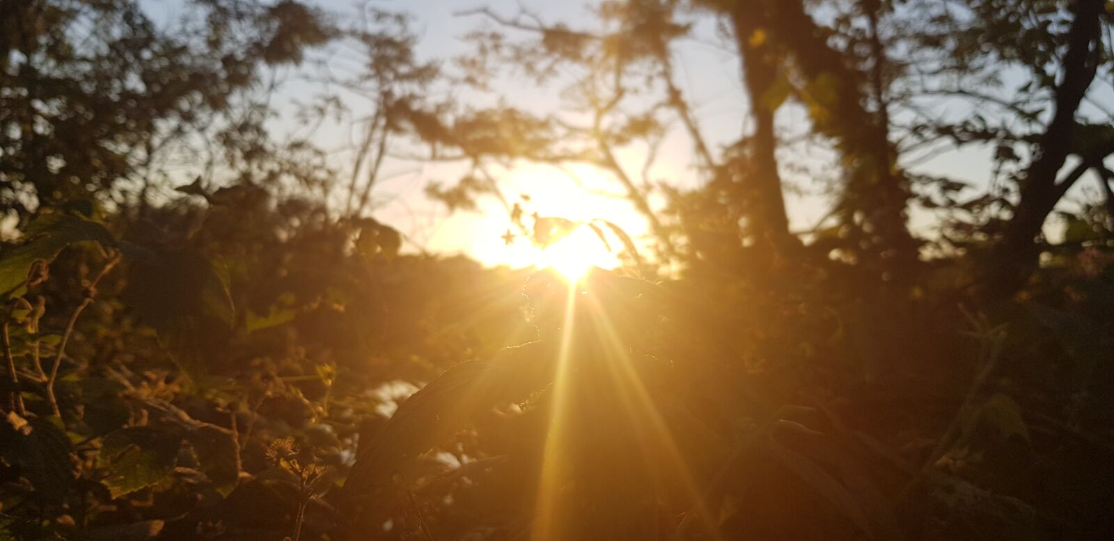 Samsung Galaxy S8 sample photo. Sunset in milan, my photography