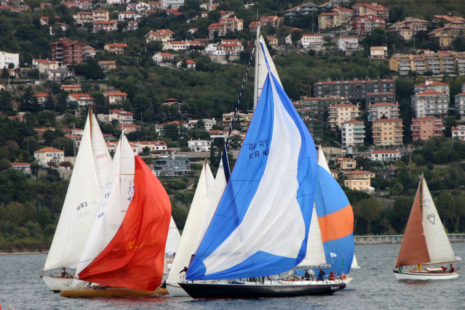 Canon EOS 70D sample photo. Sailboats, sea, boats photography