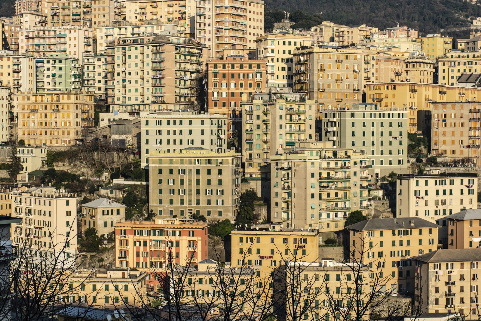 Nikon D7100 sample photo. Genoa, houses, italy photography