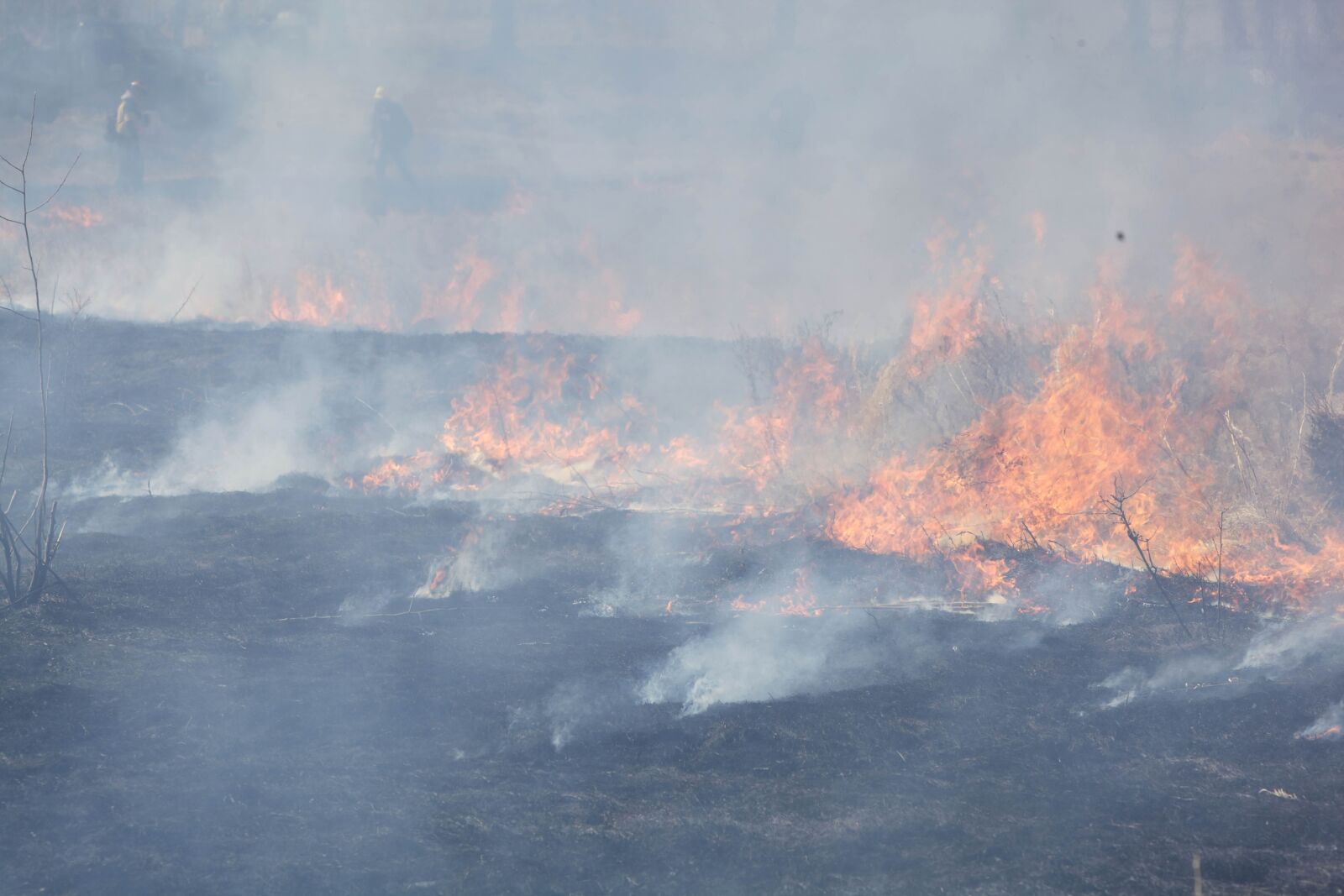 Canon EOS 5D Mark II sample photo. Burned, fields, nature, smoke photography