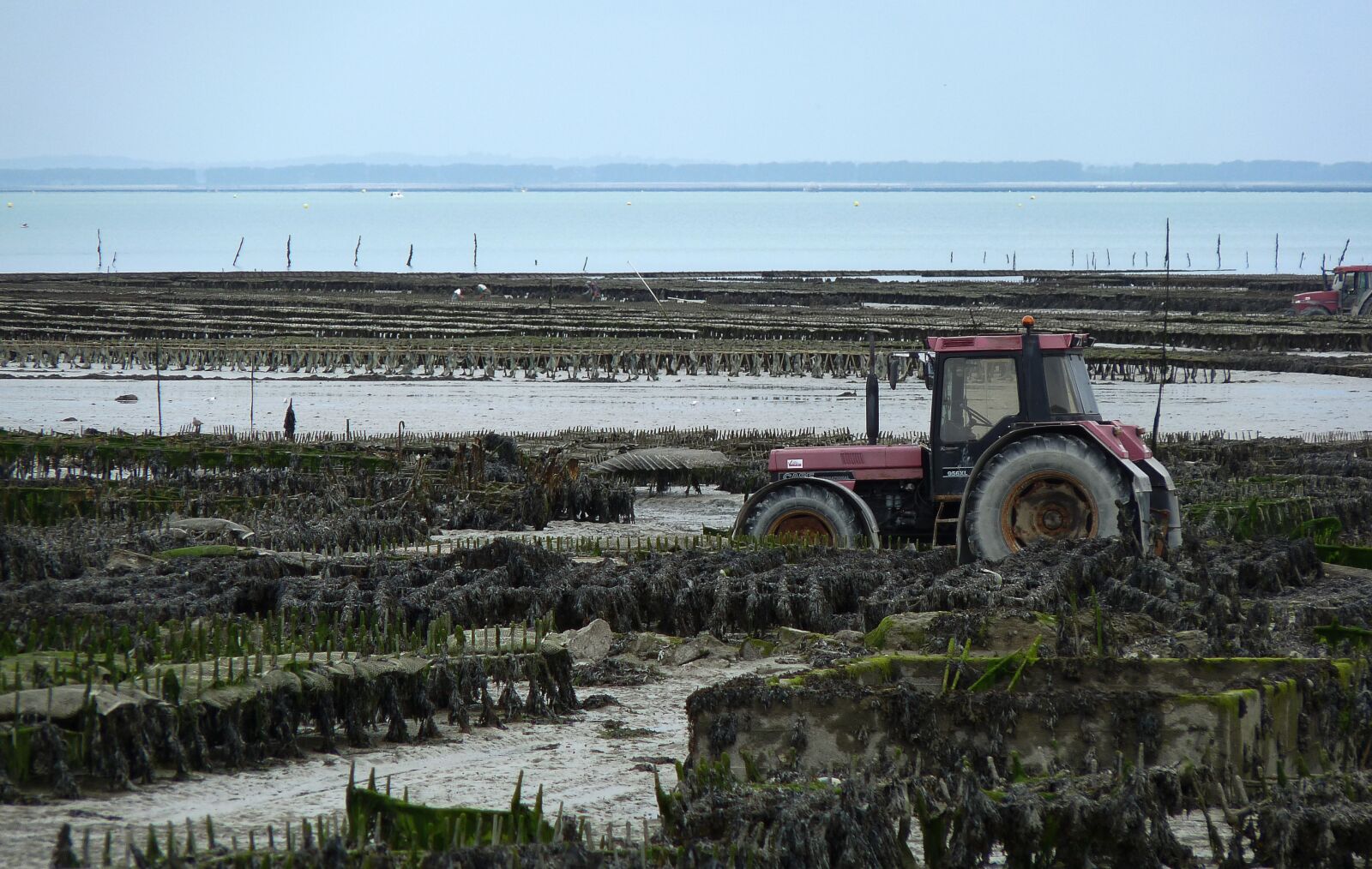 Panasonic Lumix DMC-FZ28 sample photo. Brittany, cancale, tractor photography