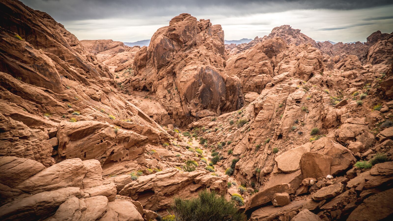 Sony a6000 + Sony E PZ 18-105mm F4 G OSS sample photo. Valley of fire state photography