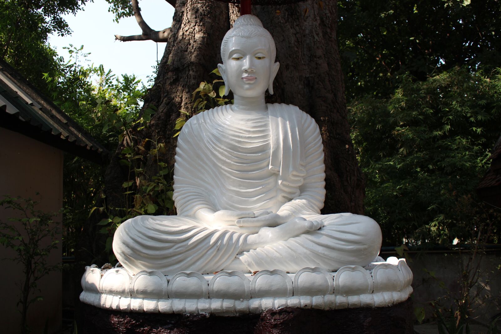 Canon EOS 700D (EOS Rebel T5i / EOS Kiss X7i) sample photo. Buddha, buddhism, meditation photography
