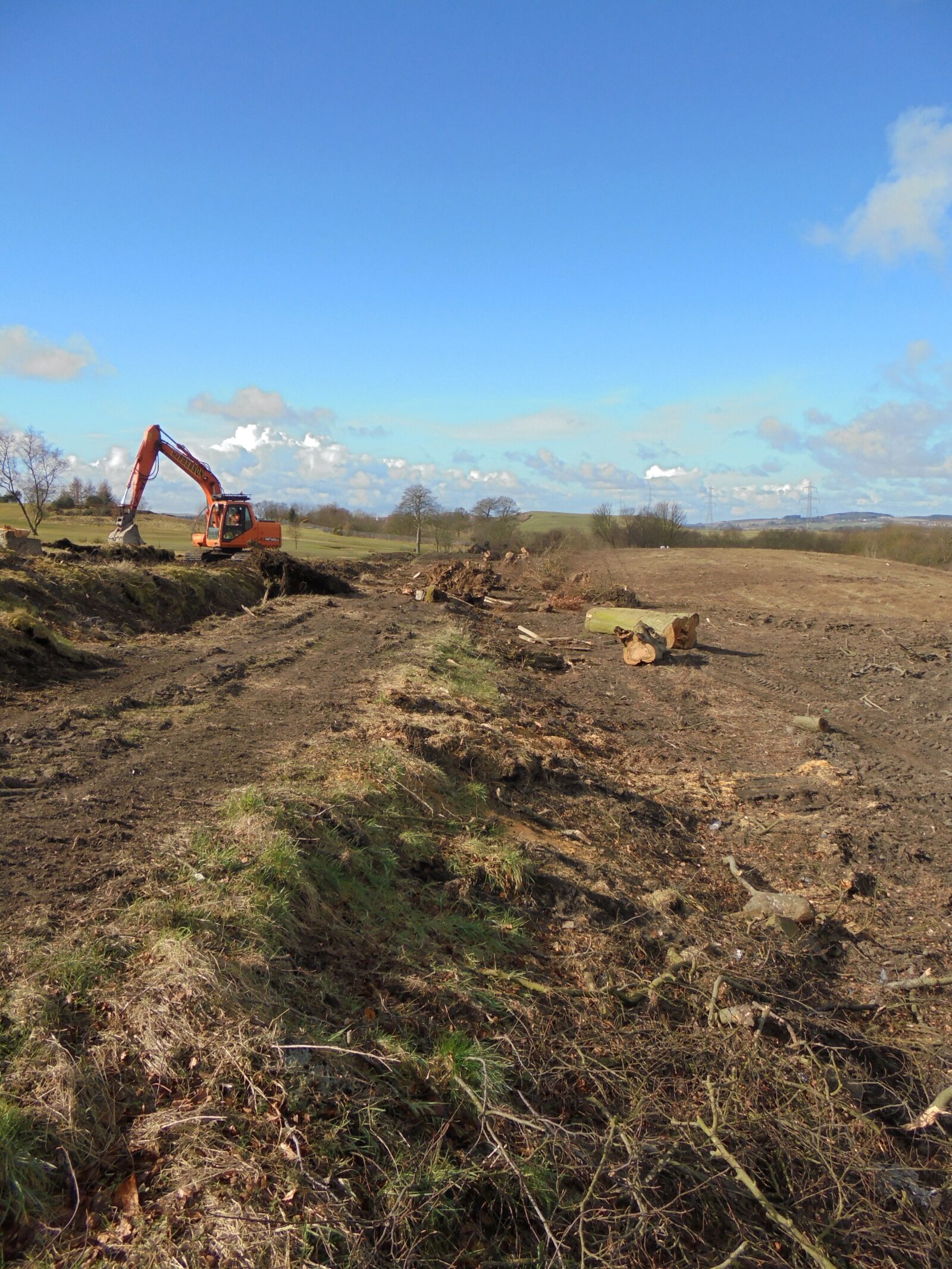 Sony Cyber-shot DSC-W810 sample photo. Tree felling, jcb, construction photography