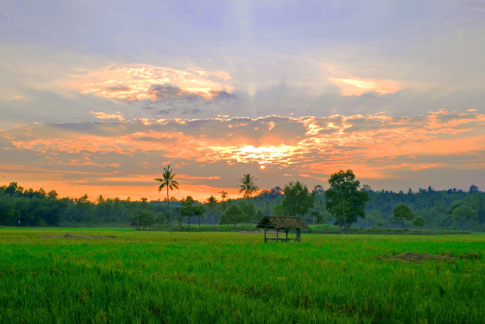 Fujifilm X-M1 sample photo. Indonesia, lampung, landscape photography