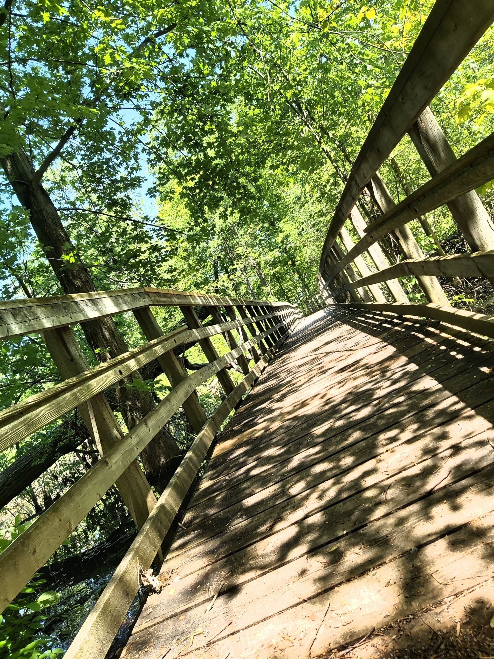 Samsung Galaxy A70 sample photo. Rondeau, bridge, trees photography