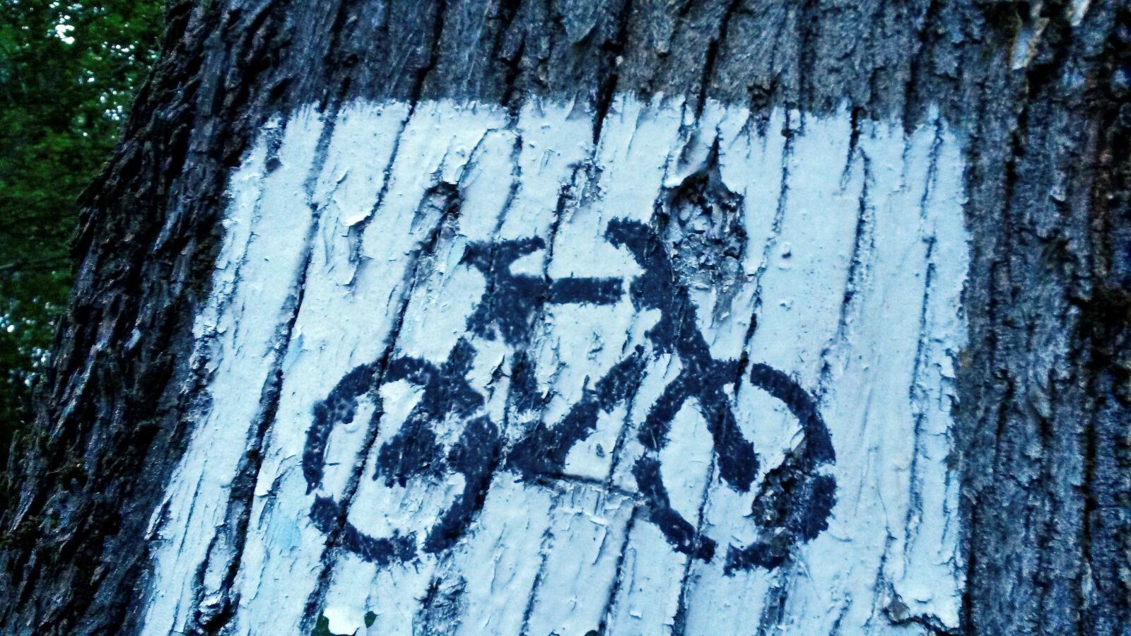 Samsung Galaxy S4 Mini sample photo. Bike, sign photography