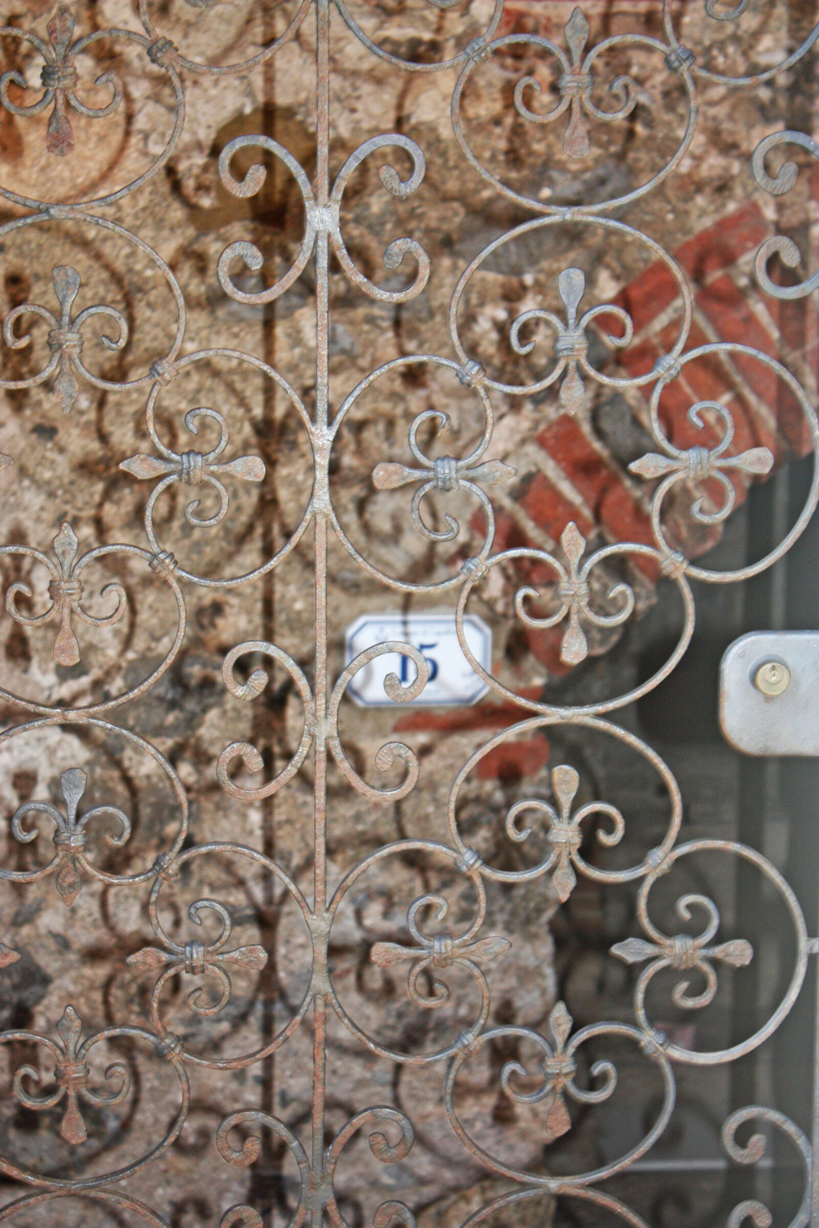 Canon EOS 450D (EOS Rebel XSi / EOS Kiss X2) sample photo. Curly, door, gate, italy photography