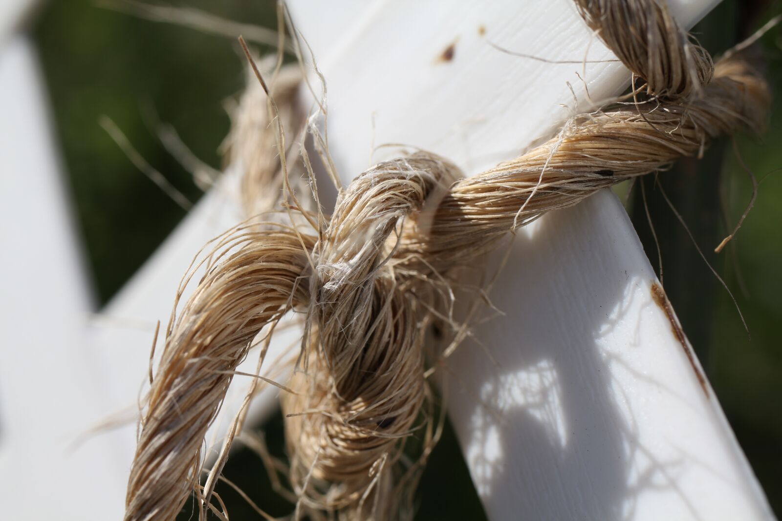 Canon EOS 550D (EOS Rebel T2i / EOS Kiss X4) sample photo. Rope, knot, fence photography