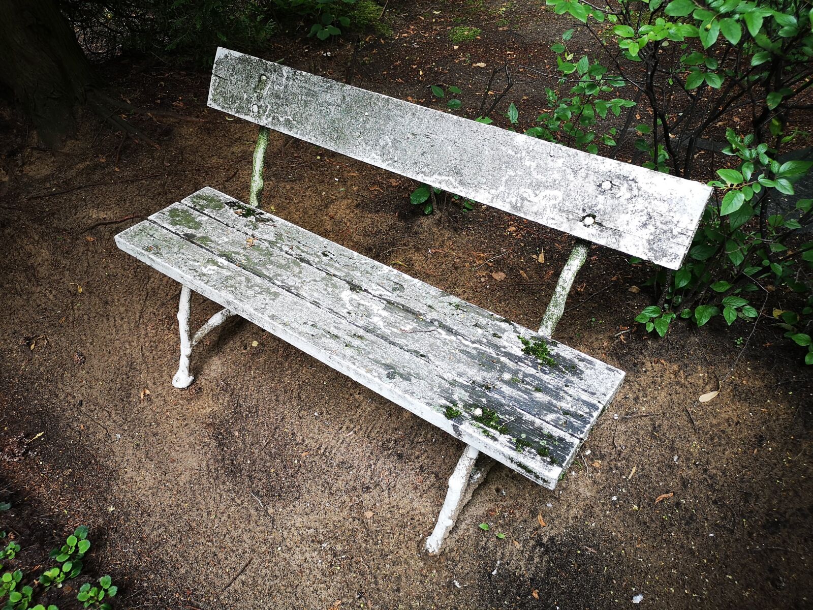 HUAWEI CLT-L29 sample photo