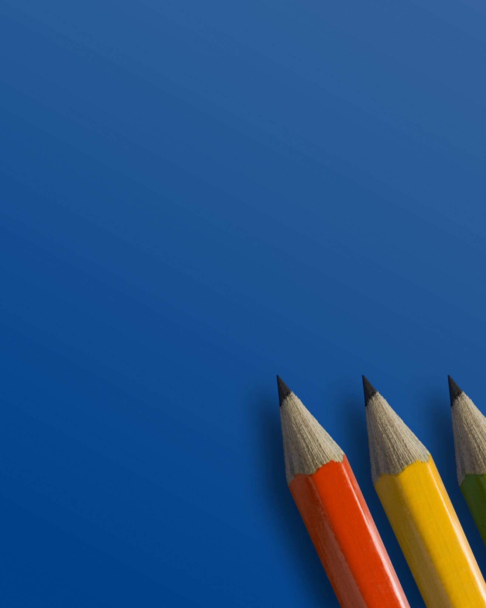 Canon EOS 5D sample photo. School, education, pencil photography