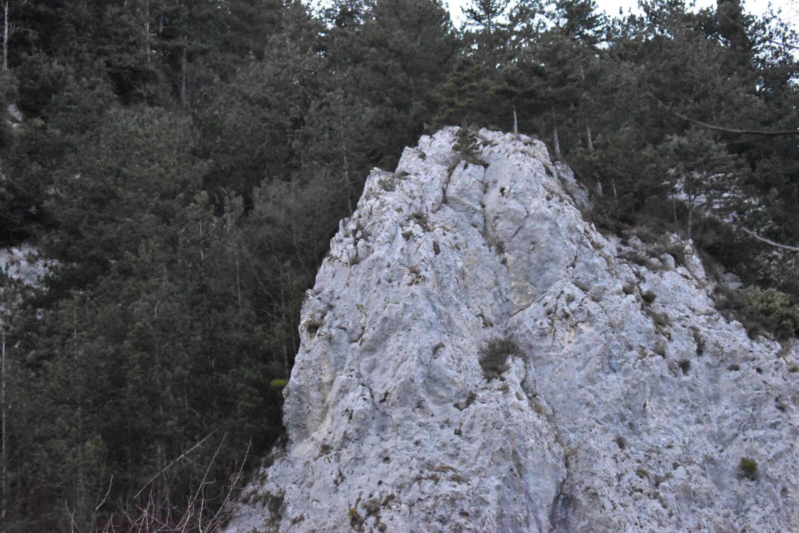Nikon D5600 sample photo. Rock, mountain, forest photography