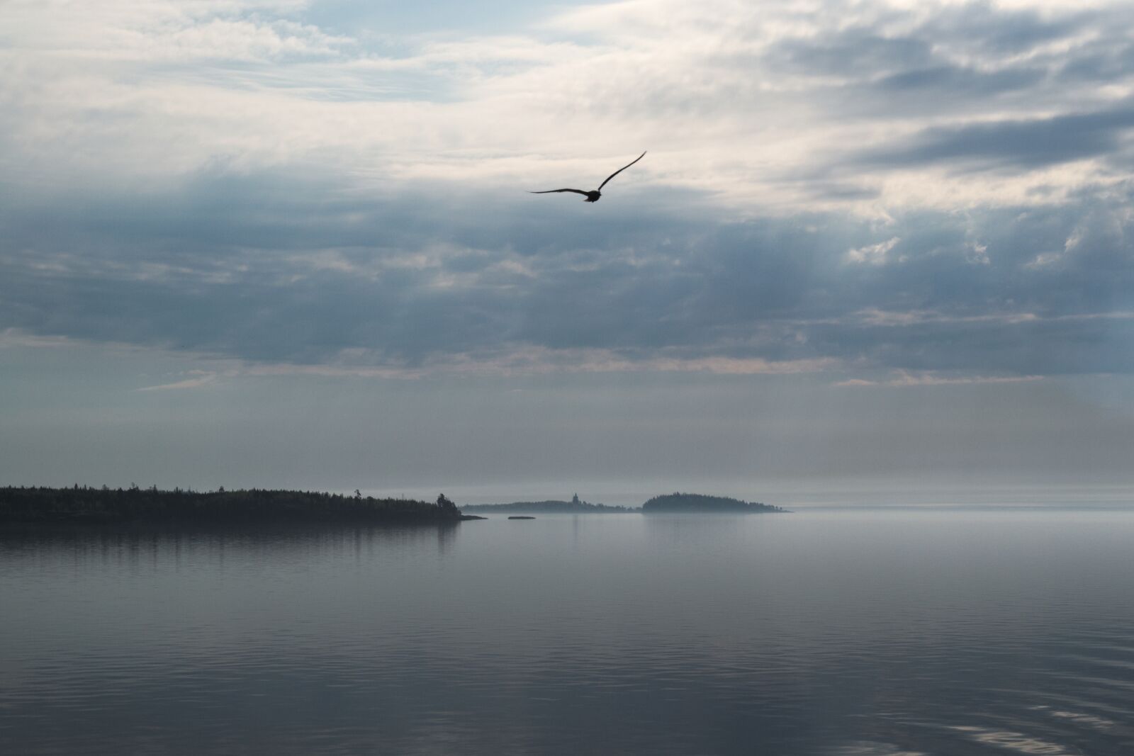 Nikon D3100 sample photo. Lake, river, water photography