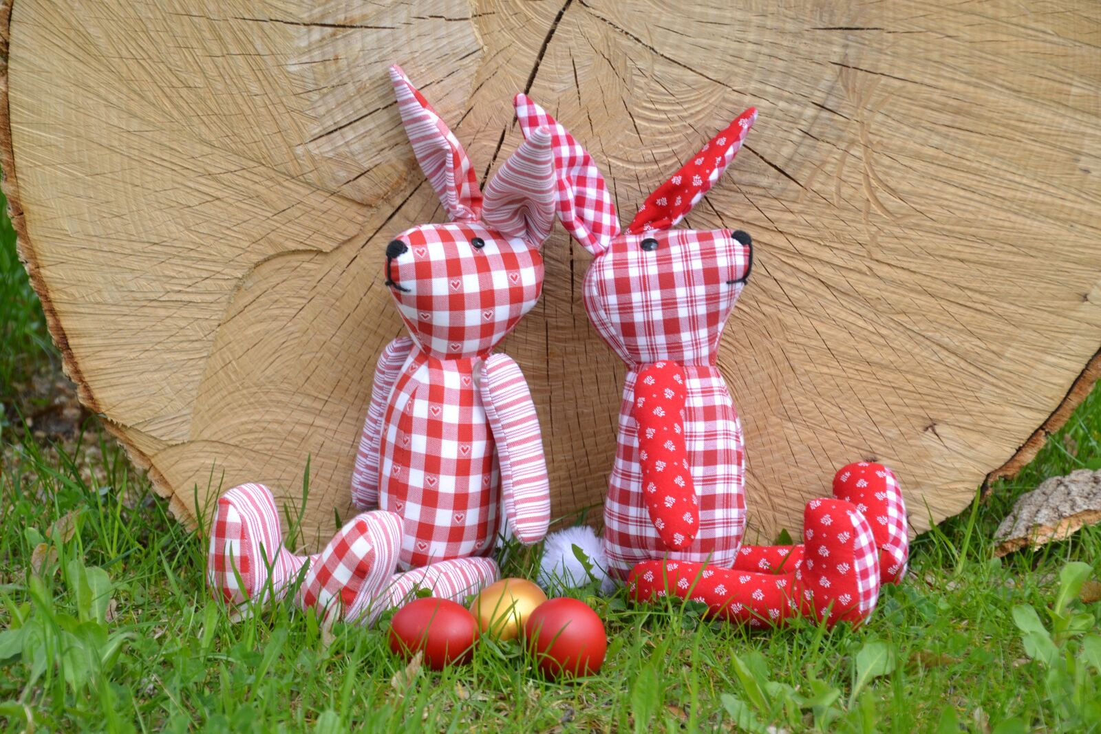 Nikon D3100 sample photo. Rabbit ears, easter bunny photography