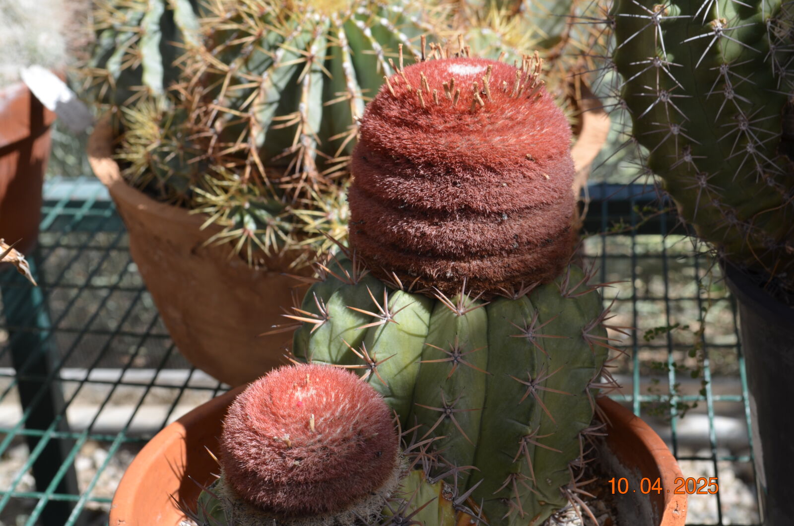 Nikon D5100 sample photo