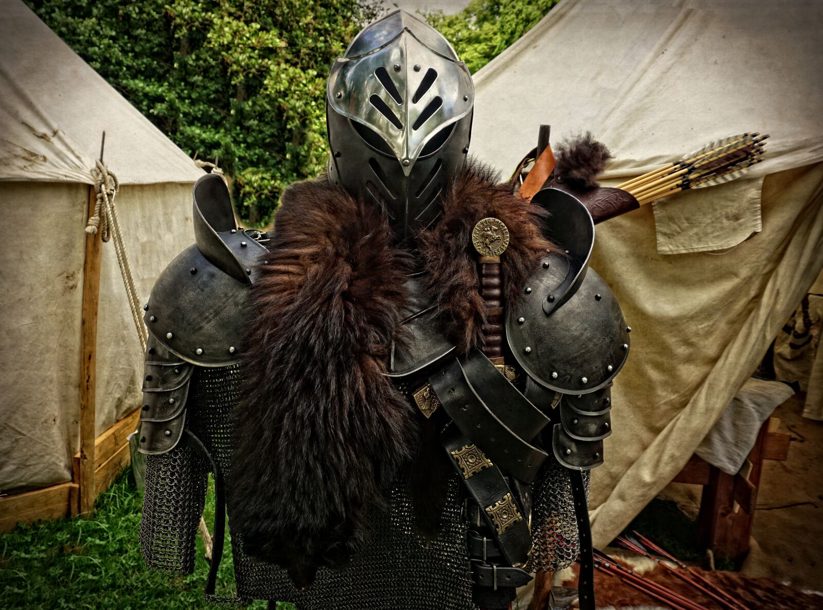 Sony a6000 sample photo. Middle ages, armor, dragon photography