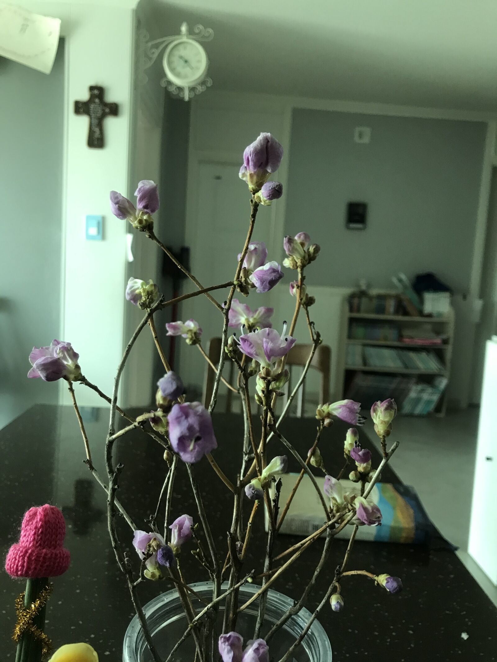 iPhone 7 back camera 3.99mm f/1.8 sample photo. Azalea, takeshi, ikebana photography