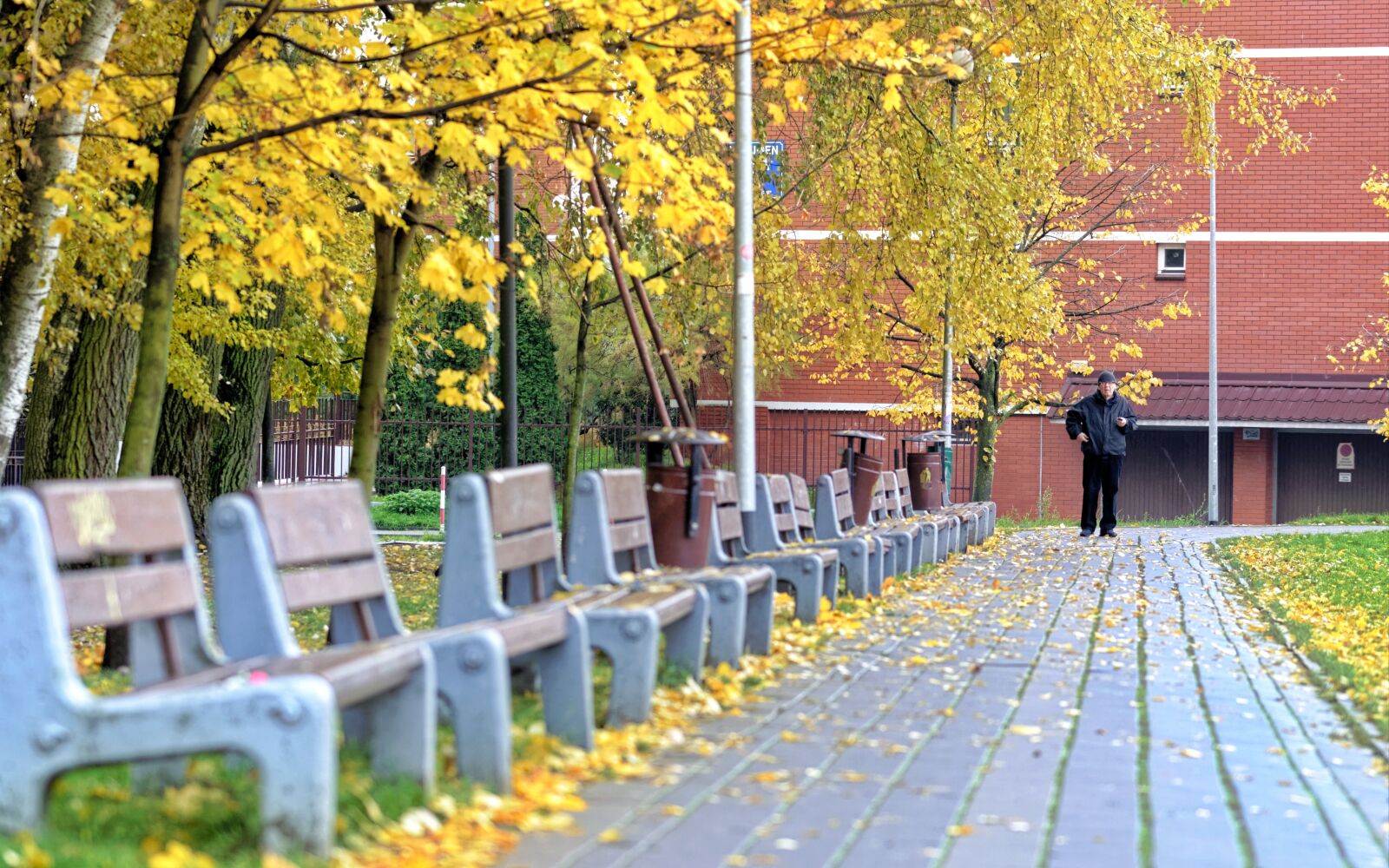Nikon D5100 sample photo. Landscape, park, nature photography