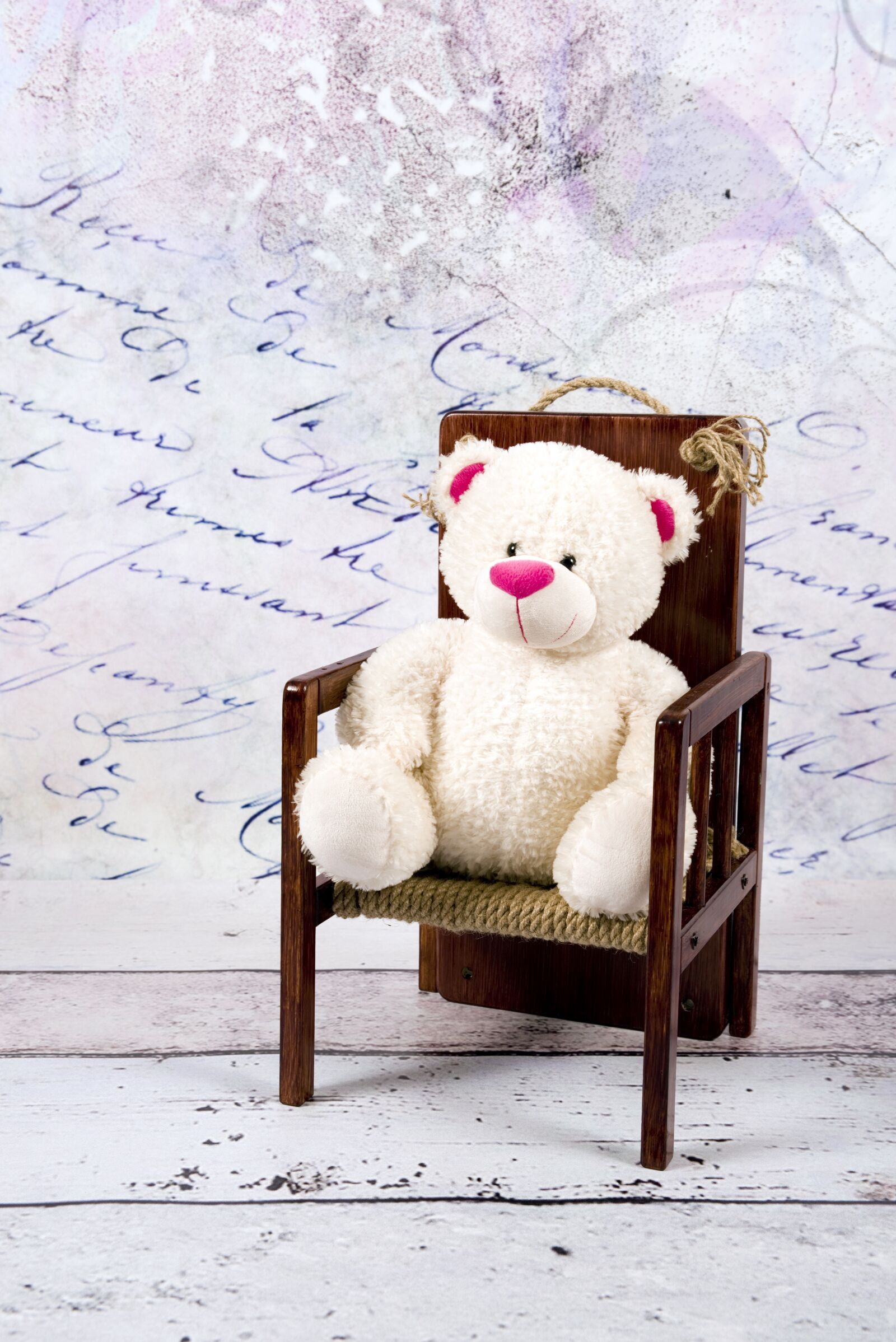 Nikon D800 sample photo. Teddy bear, white, studio photography