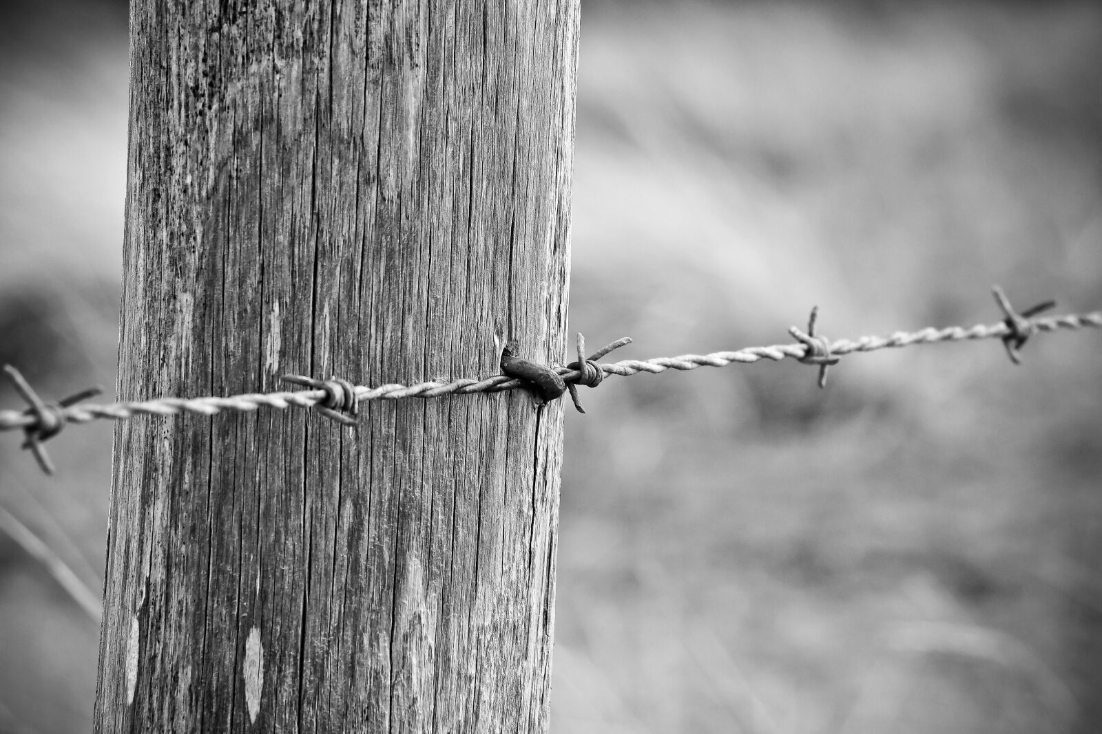 Olympus OM-D E-M10 sample photo. Fence, wood fence, wood photography